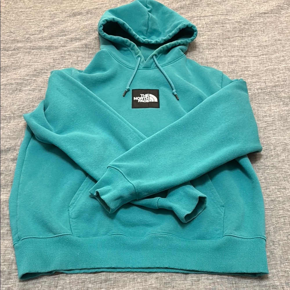 The North Face Men’s Aqua Heavy Hoodie Sweatshirt